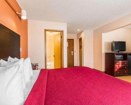 1 king bed