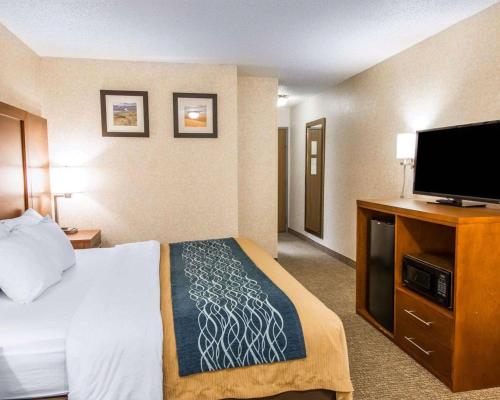 King Room - Non-Smoking