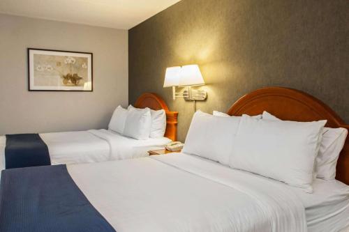 Quality Inn and Suites St Charles -West Chicago