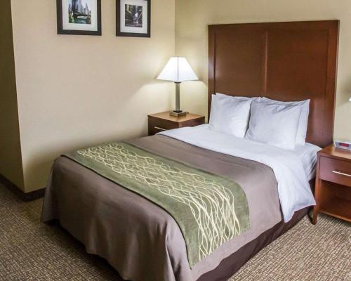 Comfort Inn Morris I-80