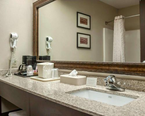 Quality Inn & Suites near St Louis and I-255