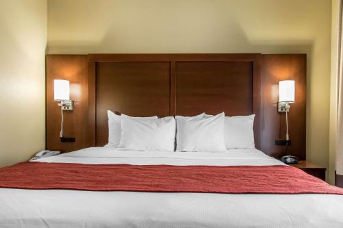 Comfort Suites Effingham - image 21