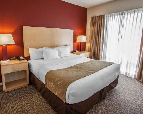Comfort Suites North Michigan Avenue In Il