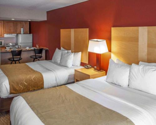 Comfort Suites North Michigan Avenue In Il