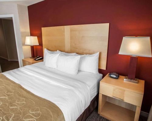 Comfort Suites North Michigan Avenue In Il