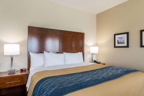 Comfort Inn Edwardsville - St Louis