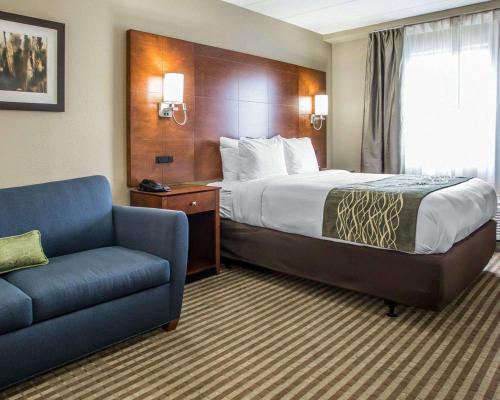 Comfort Inn- Hammond - main image
