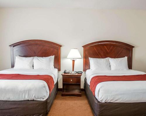 Comfort Suites near Indianapolis Airport - image 4