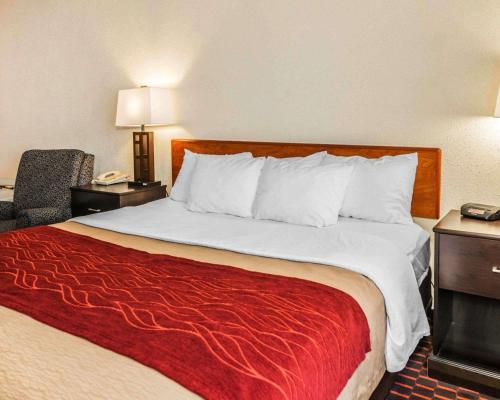 Comfort Inn Avon - North Indianapolis - image 5