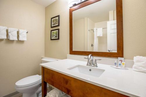 Comfort Inn Indianapolis North - Carmel - image 6