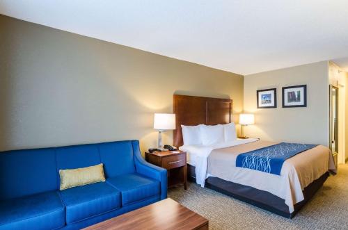 Comfort Inn Randolph-Boston