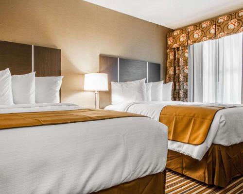 Quality Inn & Suites - image 7