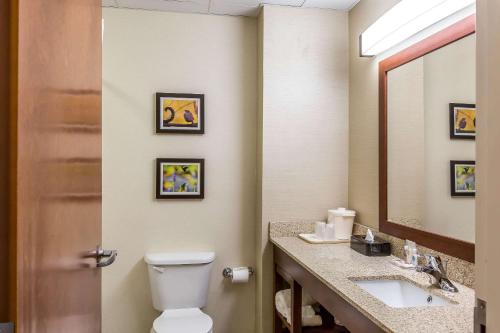 Comfort Inn