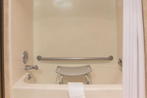 Quality Inn & Suites Detroit Metro Airport - image 6