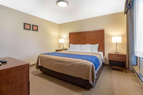 Comfort Inn Iron Mountain - image 6