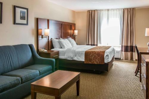 Comfort Suites Wixom / Novi - image 3