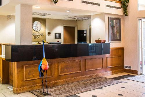 Comfort Inn Chelsea - image 2