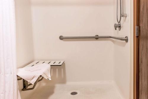 Comfort Suites Wixom - Novi - 화장실