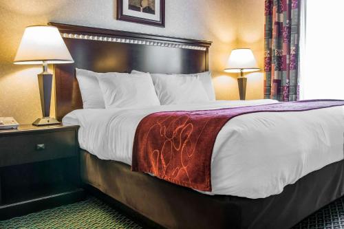 Comfort Suites Canton - main image