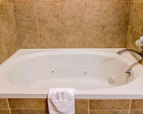 Quality Inn Auburn Hills