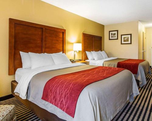Queen Room with Two Queen Beds - Non-Smoking