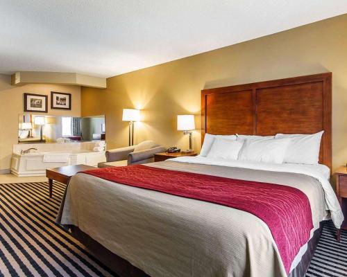 Comfort Inn Owatonna near Medical Center