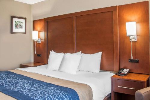 Comfort Inn Fergus Falls - image 8