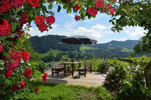 Bauernhof Schneider in Egg, Österreich