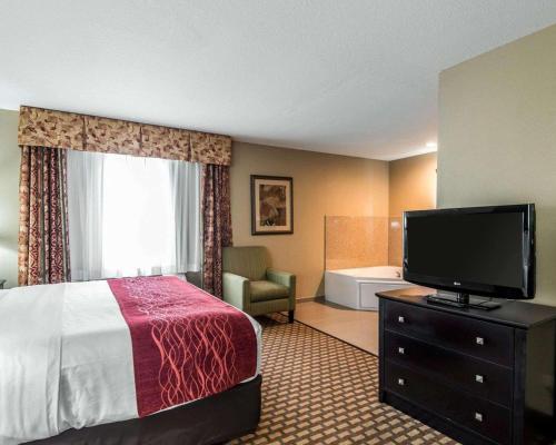 Comfort Inn & Suites Downtown - image 3