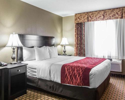 Comfort Inn & Suites Downtown - image 9