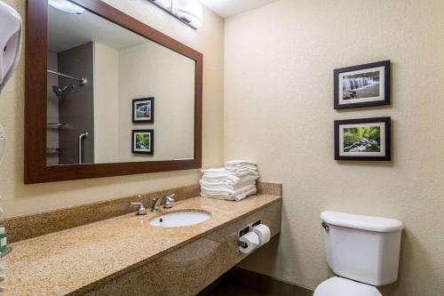 Comfort Inn & Suites - Hannibal - image 4