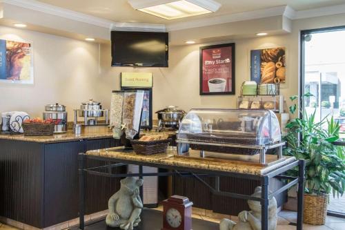 Econo Lodge Inn & Suites Joplin - image 4