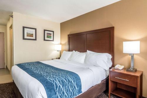 Comfort Inn & Suites - Hannibal Room Type - King Room - Non-Smoking