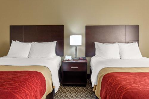 Comfort Inn Horn Lake - Southaven