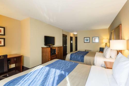 Comfort Inn Tupelo In Ms