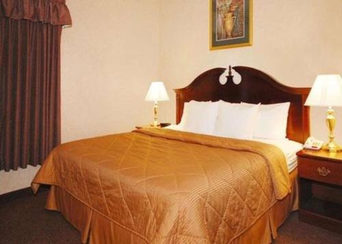 Quality Inn & Suites Tarboro - Kingsboro