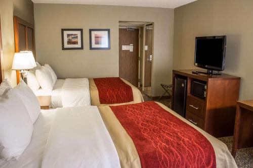 Comfort Inn Research Triangle Park