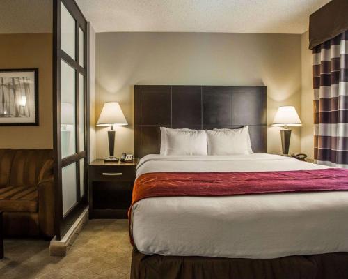 Comfort Suites Lake Norman - Huntersville - image 2