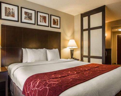 Comfort Suites Lake Norman - Huntersville