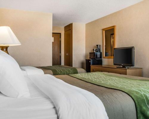Comfort Inn Jamestown - image 5