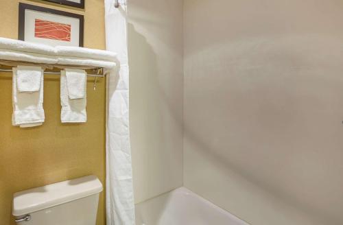 Comfort Inn York - image 6