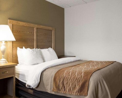 1 king bed