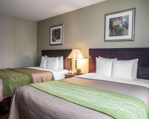 コンフォート イン