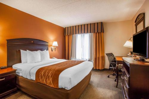 Comfort Inn & Suites Somerset - New Brunswick