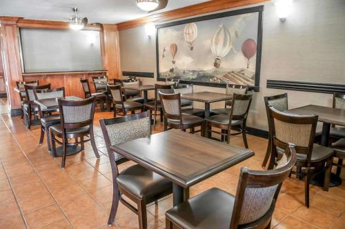 Comfort Suites Albuquerque - image 3