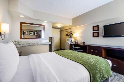Comfort Suites Avenel - image 7