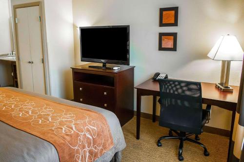 Comfort Suites Albuquerque - image 7