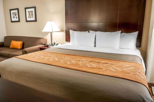 Comfort Suites Albuquerque - image 9