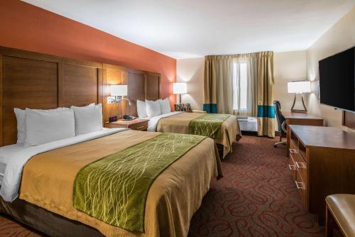 Comfort Inn Suites Clovis In Nm