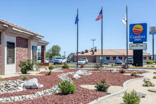 Comfort Inn & Suites Near Fallon Naval Air Station